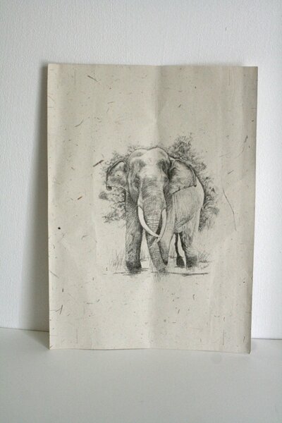 papermill elephant