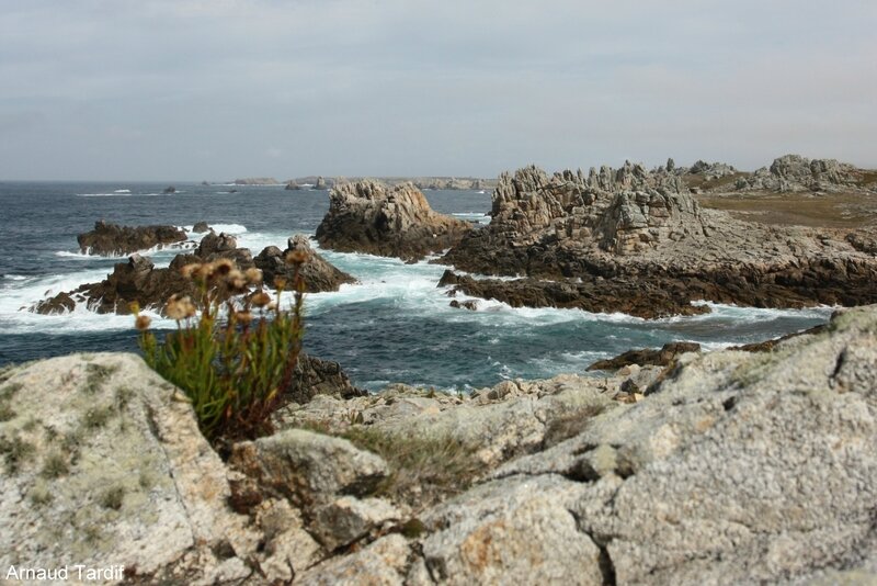 001384 Plouguerneau - L'Ile d'Ouessant - La Pointe de Pern blog