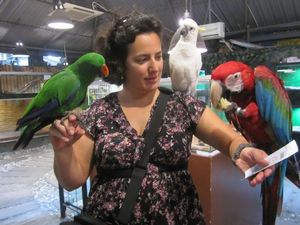 Isa pose avec perroquets