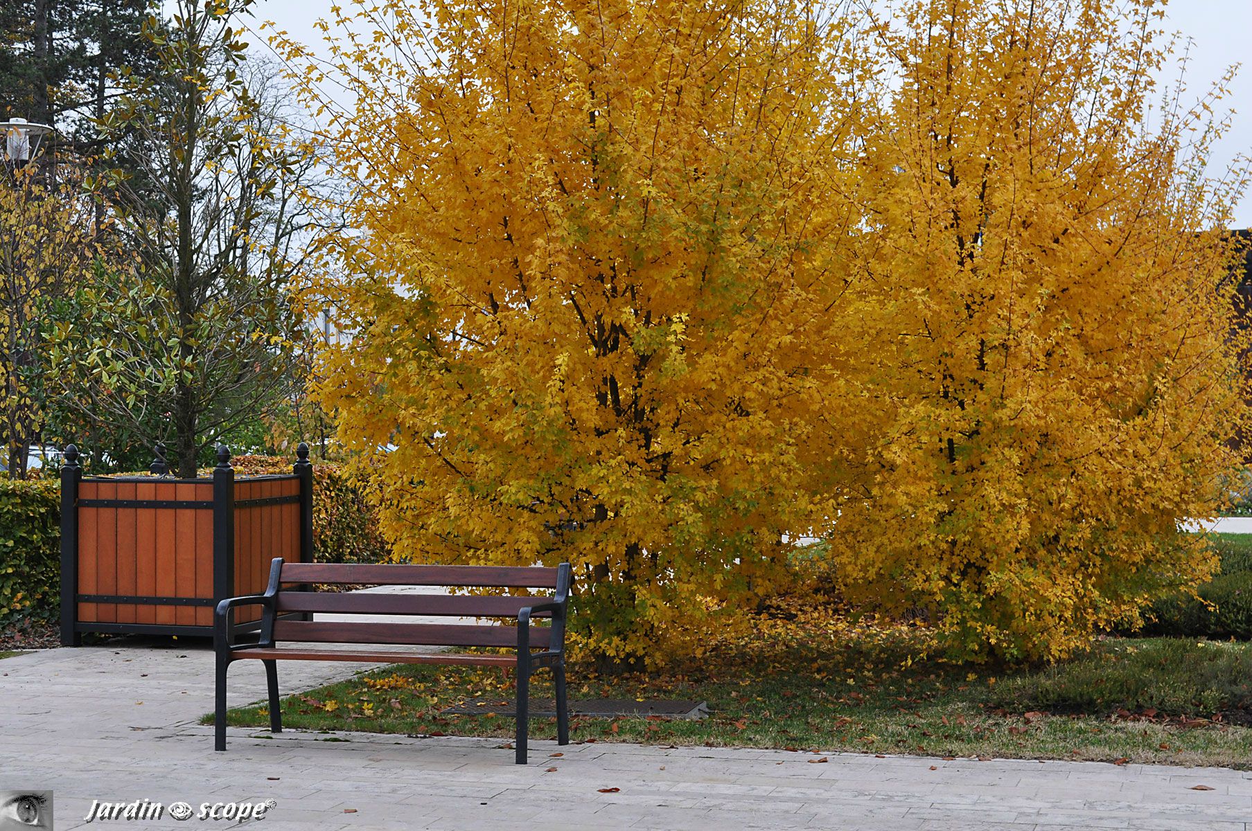 Banc public à St-Jean-de-Braye en Automne (45)