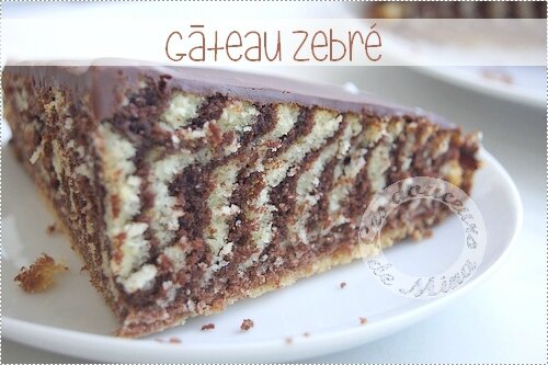 Gâteau_Zebré024