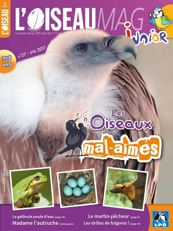 Oiseau Mag été 17 couv