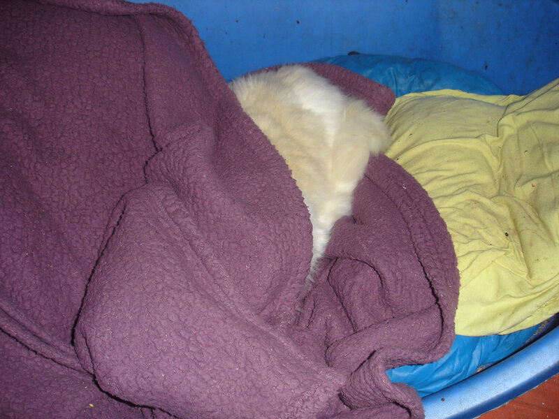 DSC06295