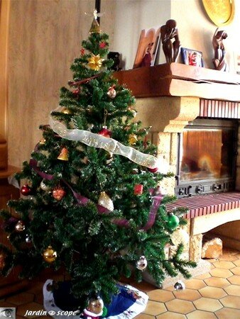 Sapin_de_Noel