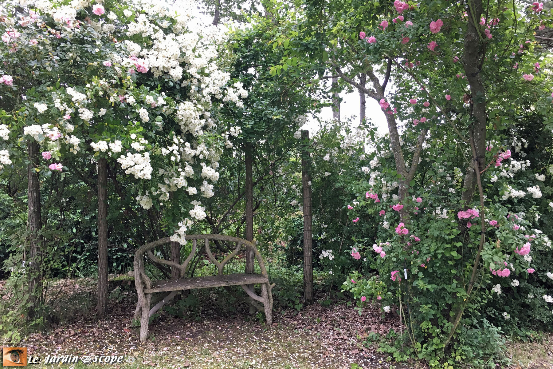 Banc en rocaille (45) Jardin de La-Javelière
