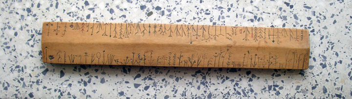 herbes_indiennes_2