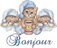 bonjour_chatons