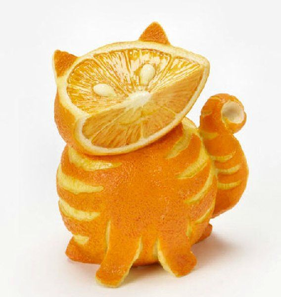 orange-tabby-cat[1]