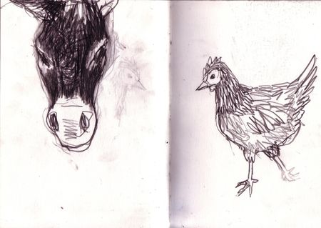 Ane_et_poule_06