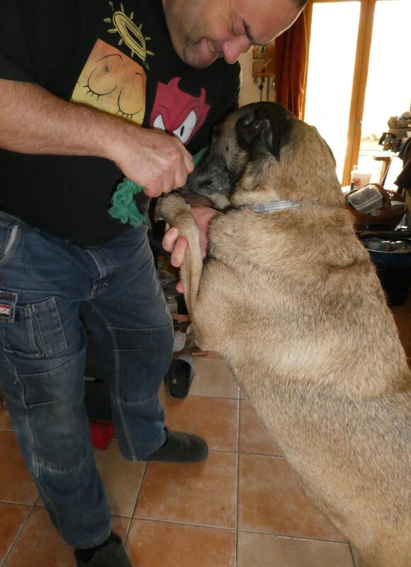P1000061