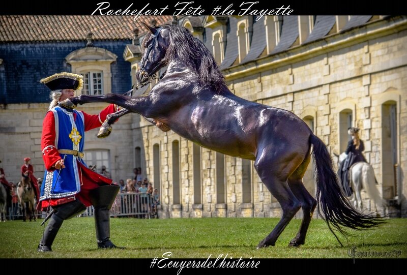 mousquetaire cheval rochefort ecuyer histoire (3)