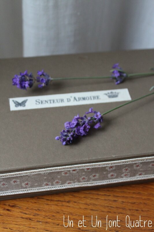 Sachets de lavande (1)