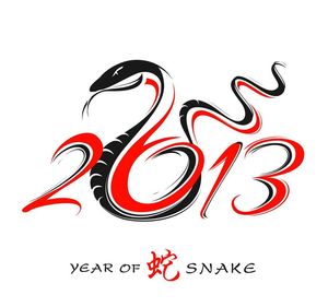 2013 Year Snake