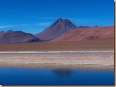 Désert d'Atacama (du Paso de Jama à San Pedro) (10)