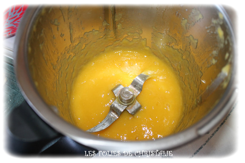 Bavarois passion mangue 5