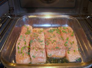 Pavés de saumon sauce crémeuse aux st jacques 001