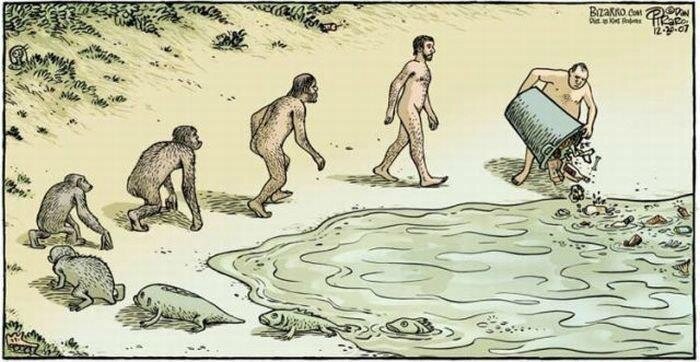 evolution-of-stupidity