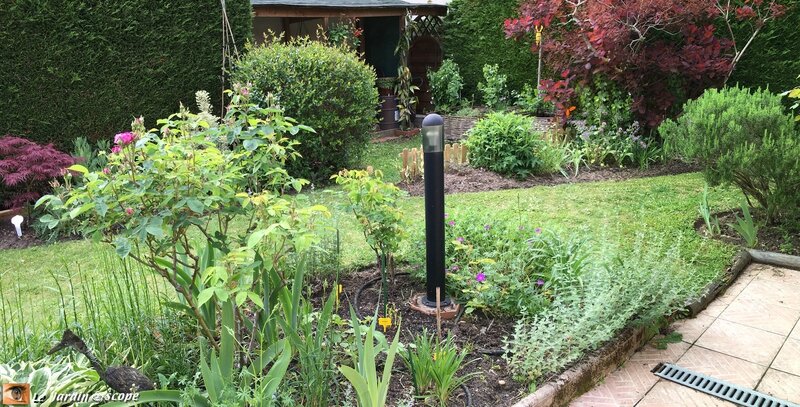 Un coin du jardin - 2016