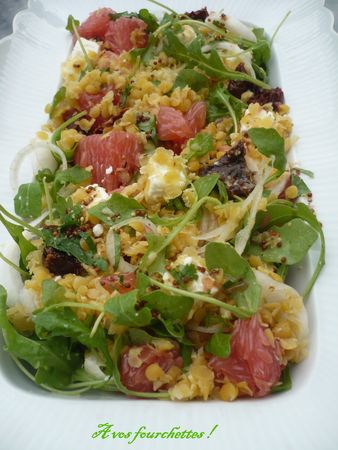 salade_lentilles_corail