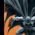 batman a long halloween loeb/<b>sale</b> pannini comics 2009)