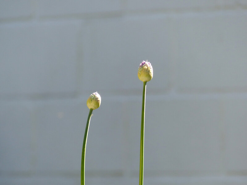 P1520403