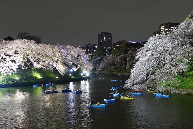 Chidorigafuchi 2