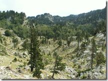 P Col de la pierre St Martin (4)