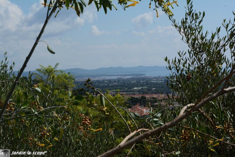 Vue panoramique depuis le Parc Saint-Bernard à Hyères