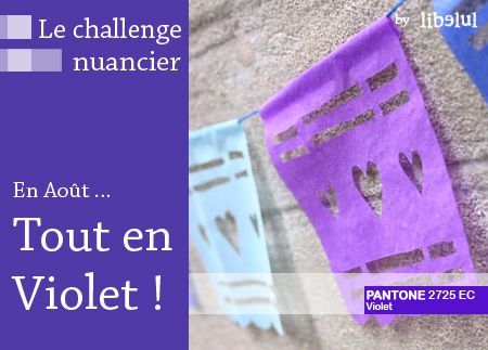 libelul-banner-challenge-nuancier4-201108