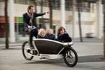 Biporteur Urban Family