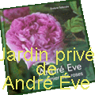 LE JARDIN PRIVÉ D'ANDRÉ ÉVE(45)