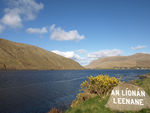 leenane