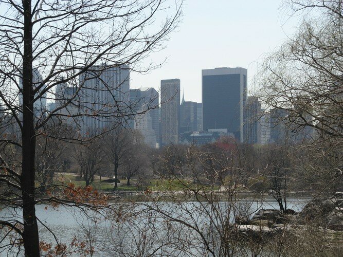 Central Park