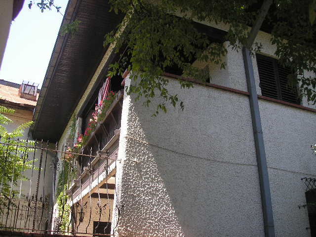 P7150330