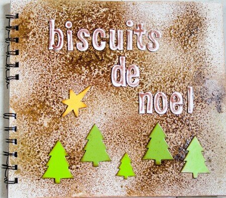 couverture_biscuits_de_neole_copy