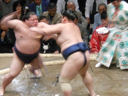 sumo - mai 2012 032