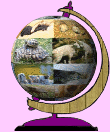 animaux_globe
