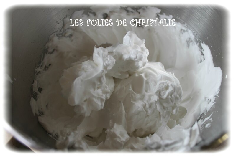 Bavarois choc framboises 1