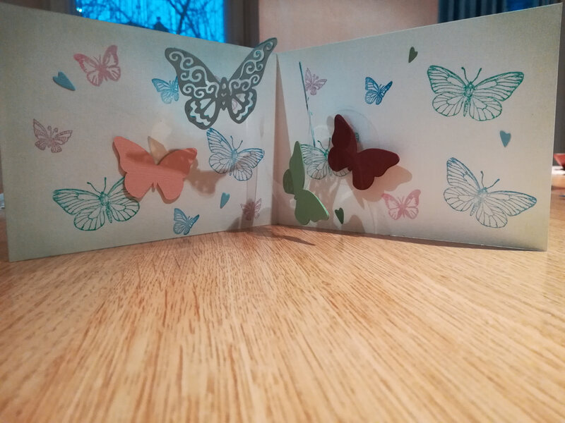 envolée de papillons (7)