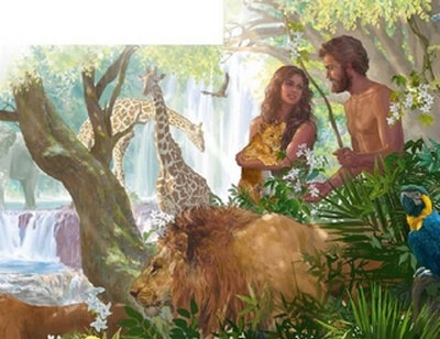Adam et Ève-animaux du territoire d'Eden (2)