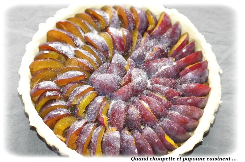 tarte aux quetsches maison-1108