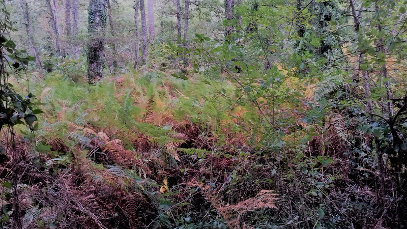 20200924_154250