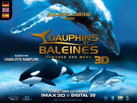 3de_dolphins_whales