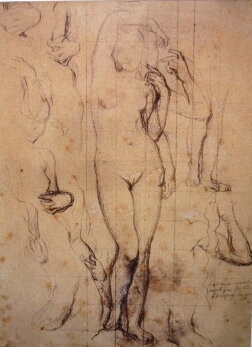 Ingres dessins
