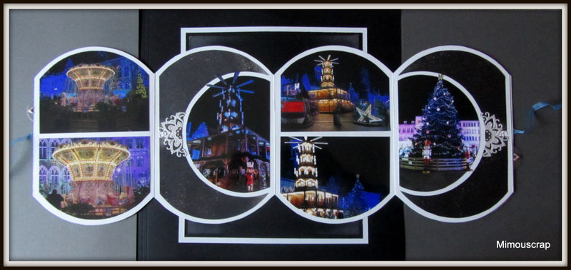 2020 Mons 007 jardin hiver