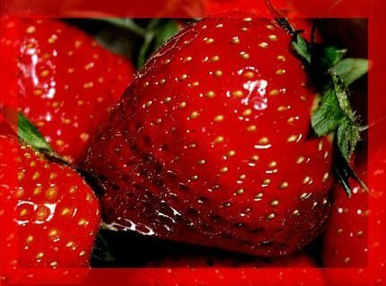 fraises-2dc5a