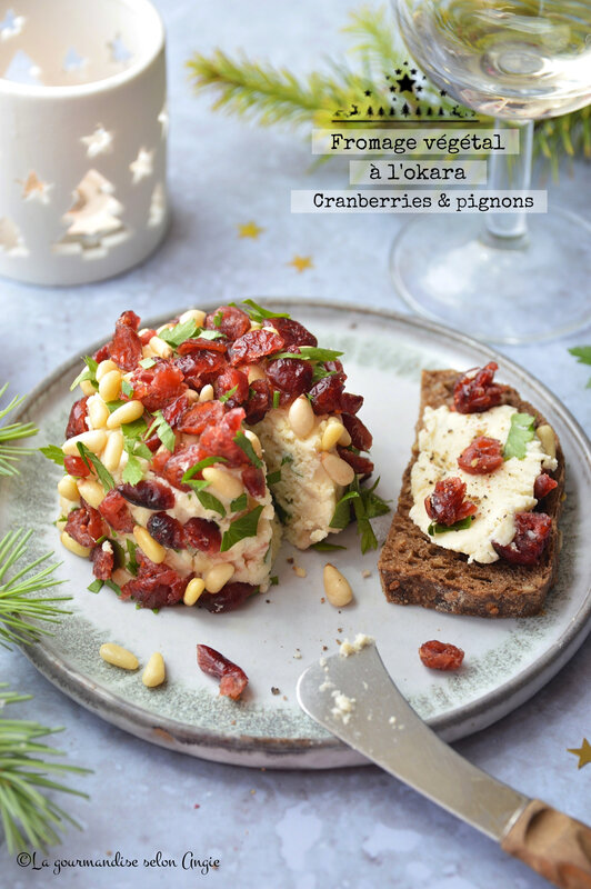 fromage okara de noël cranberries pignons vegan sans gluten (1)