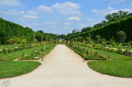 Jardin des plantes 06