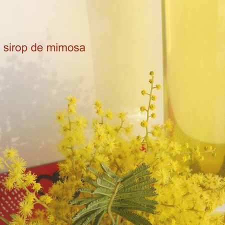 sirop_mimosa_2
