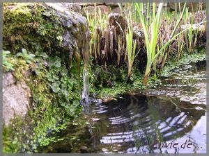 Autour_du_Lavoir__6_